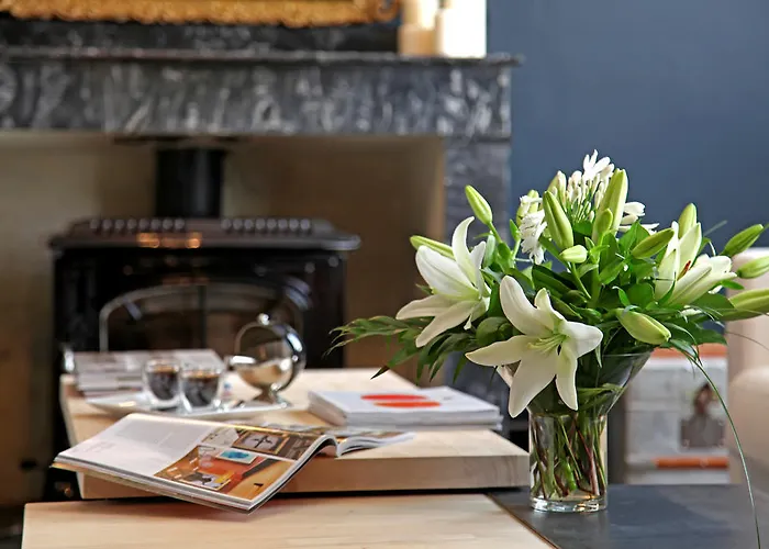 Pensjonat Maison Villeneuve Albi